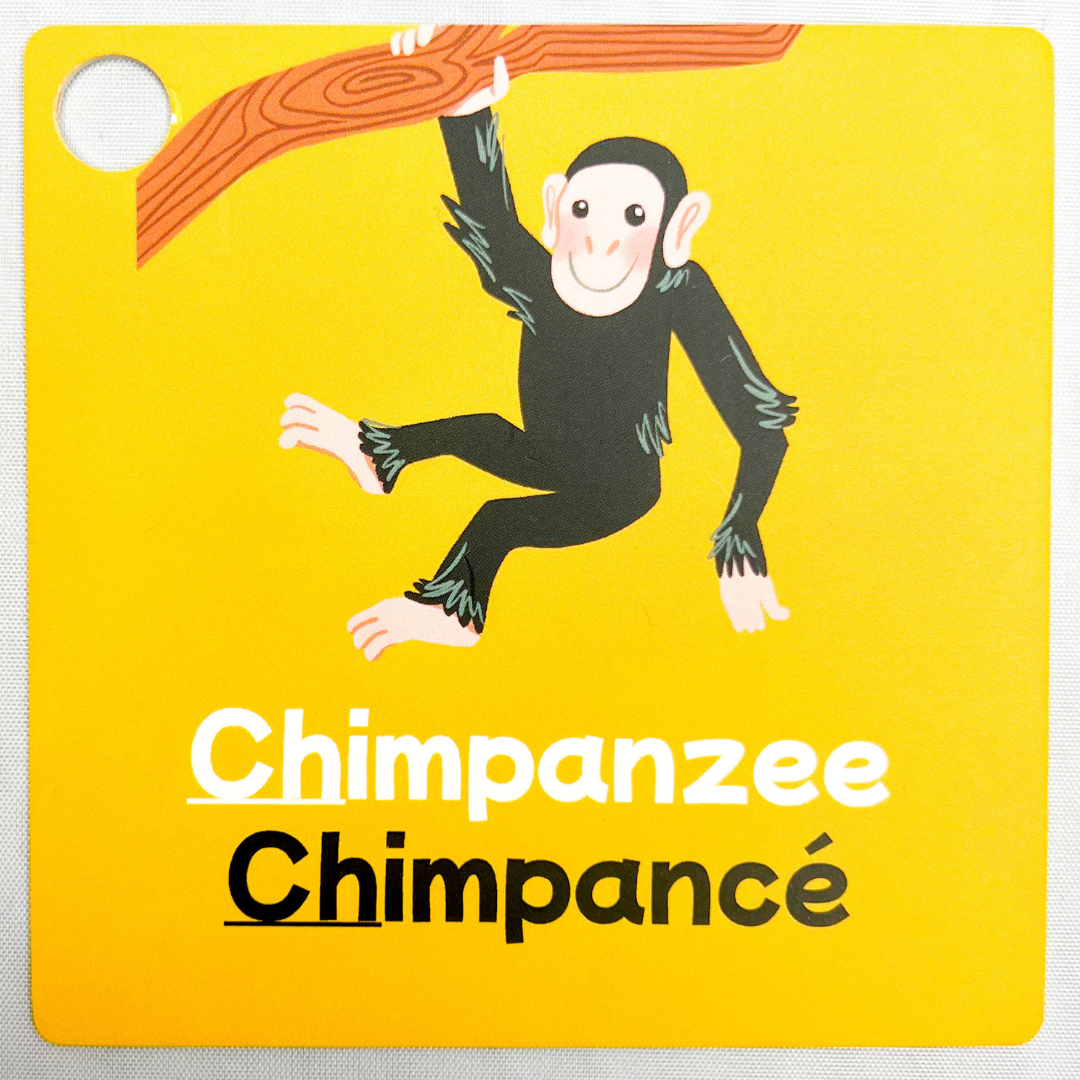 CH Sound | Sonido CH - Bilingual Flashcards for Speech Therapy